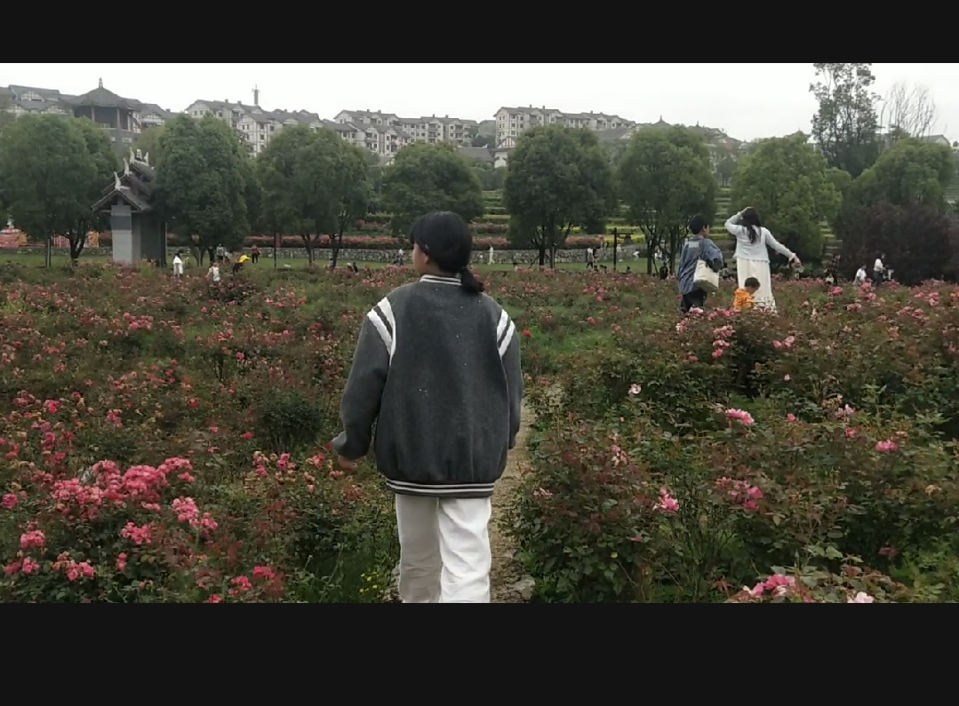 video original by Hailuo AI Video Generator