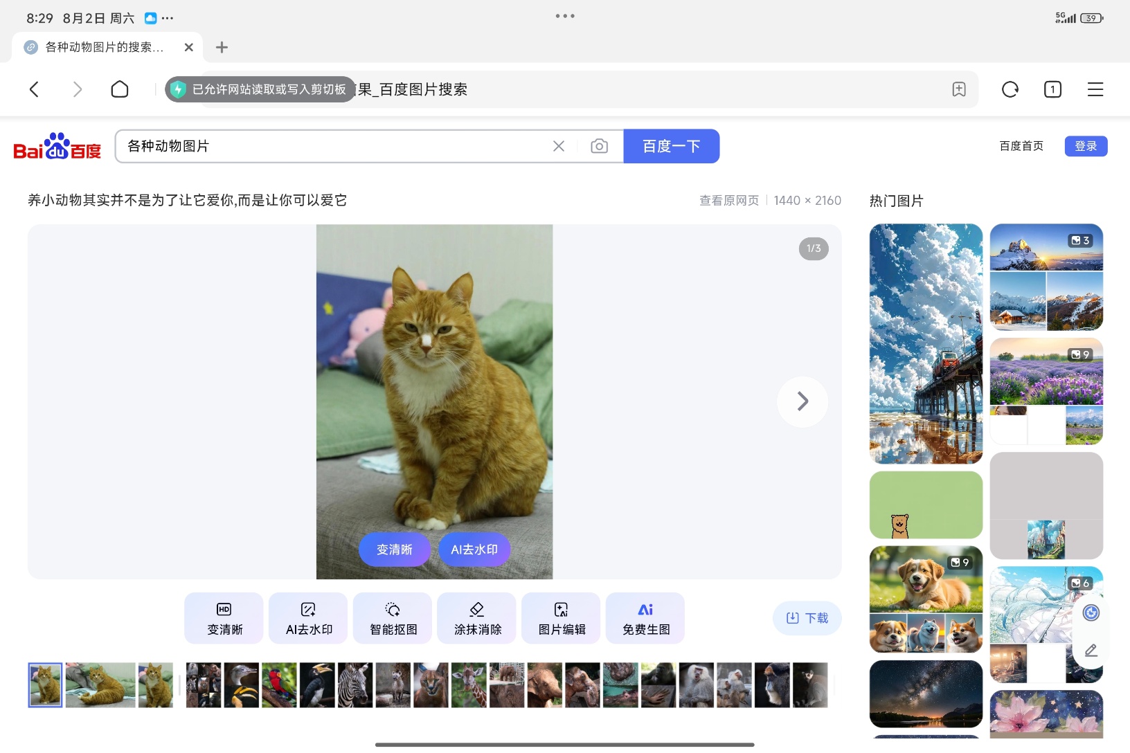 video original by Hailuo AI Video Generator