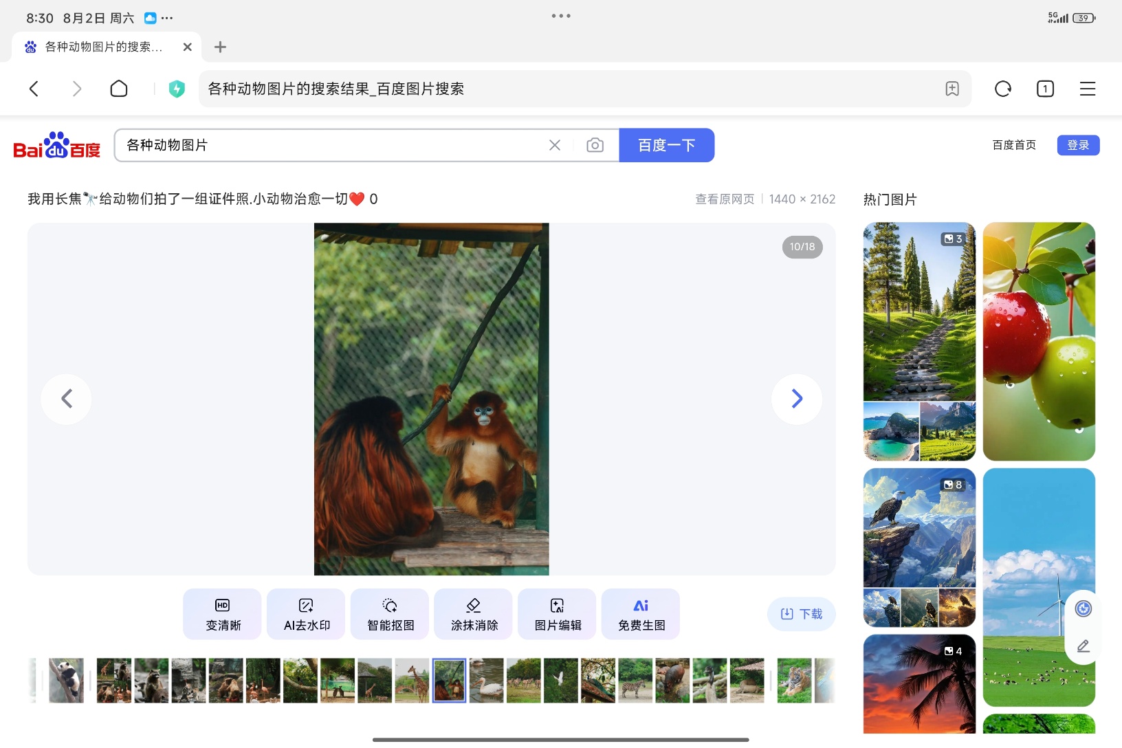 video original by Hailuo AI Video Generator
