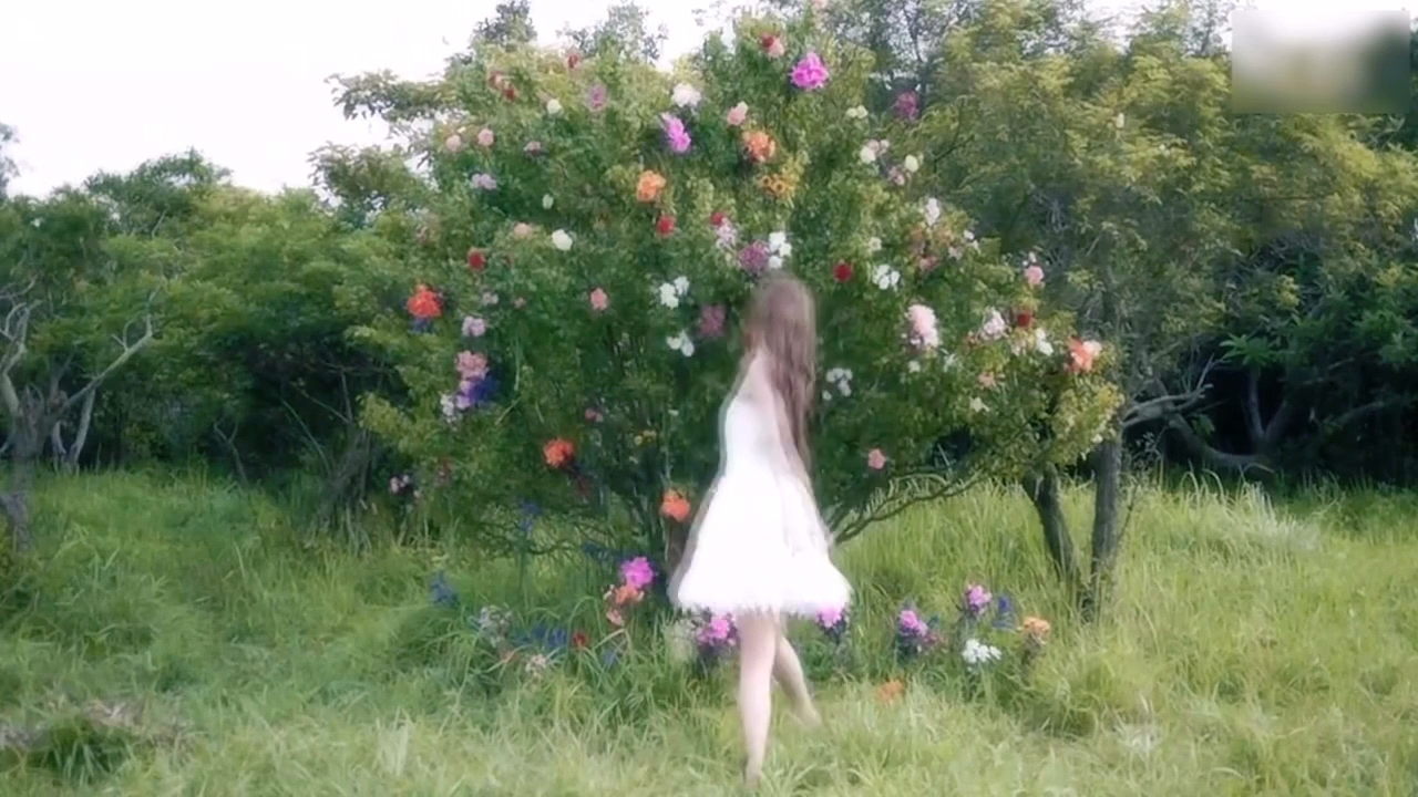 video original by Hailuo AI Video Generator