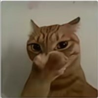 video original by Hailuo AI Video Generator
