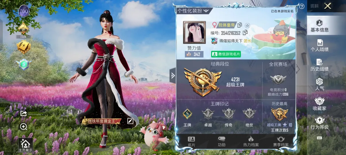 tracking-frame-icon