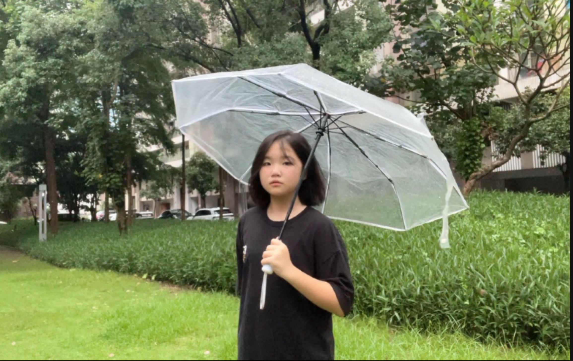 video original by Hailuo AI Video Generator