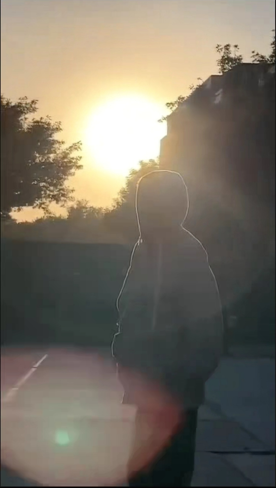 video original by Hailuo AI Video Generator