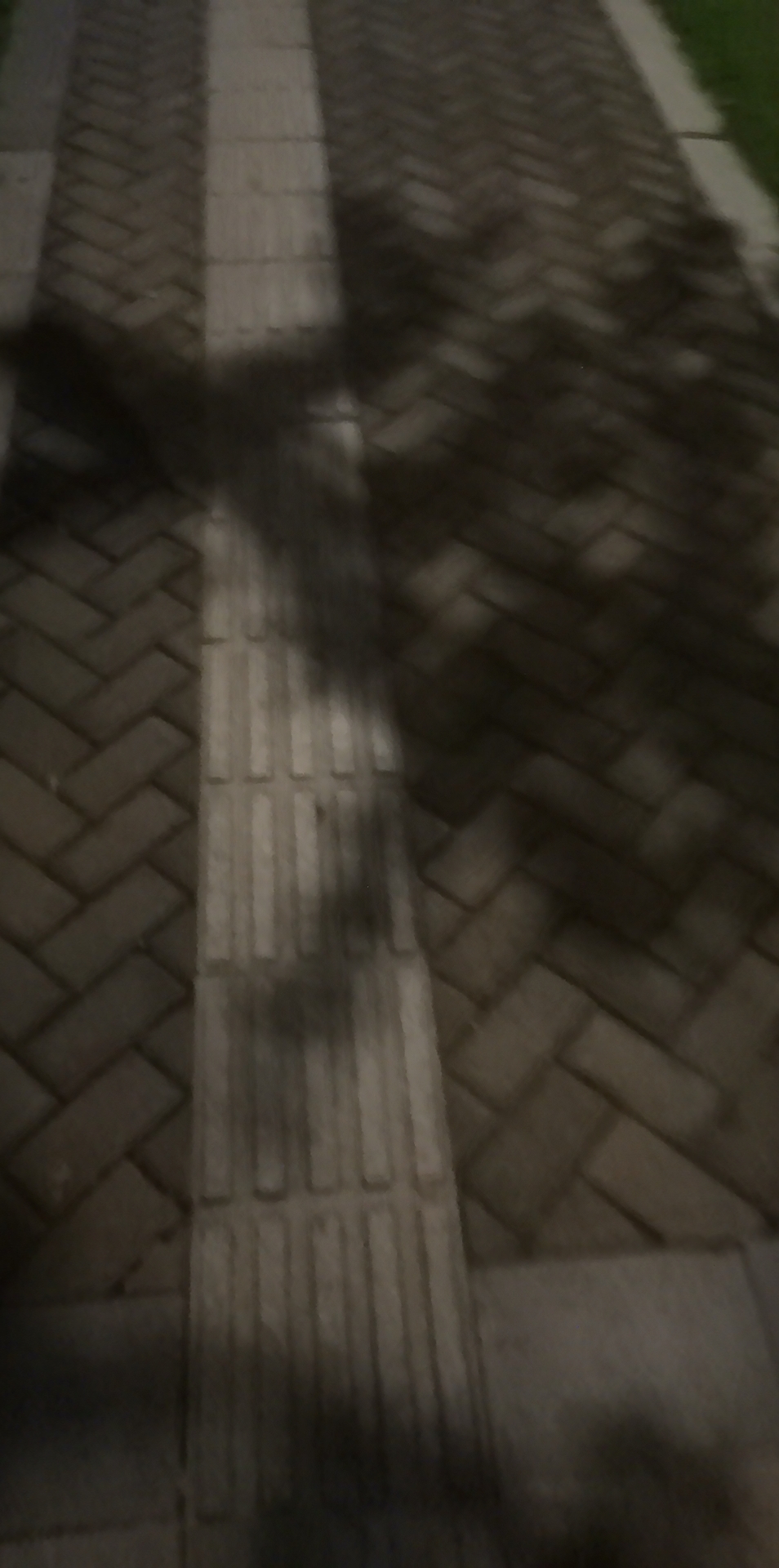 video original by Hailuo AI Video Generator