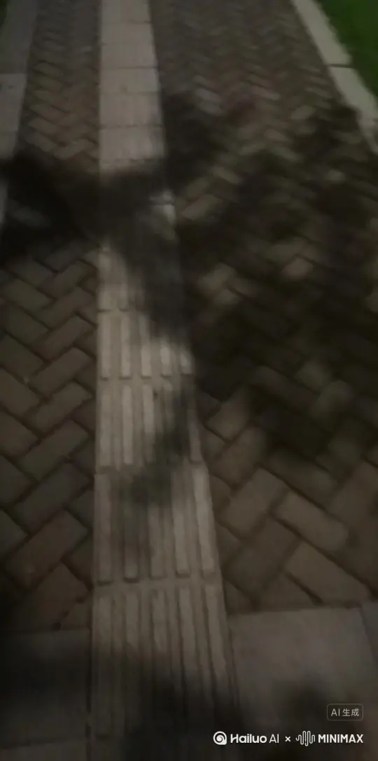把场景变成雨天超现实场景，雨水打湿地面，地面是青石水泥路，轻微模糊物体重影，老街路灯光效[推进,上升] by Hailuo AI Video Generator