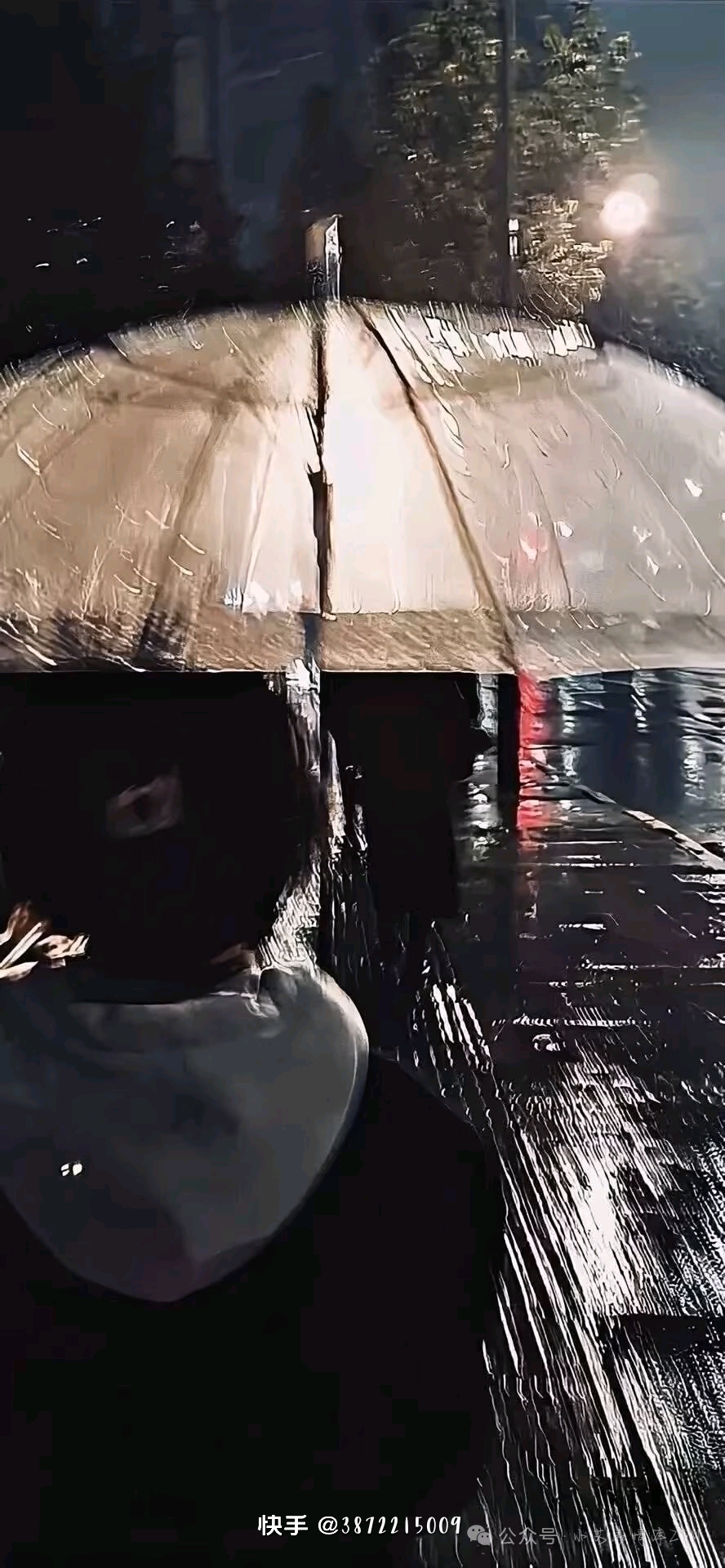 video original by Hailuo AI Video Generator