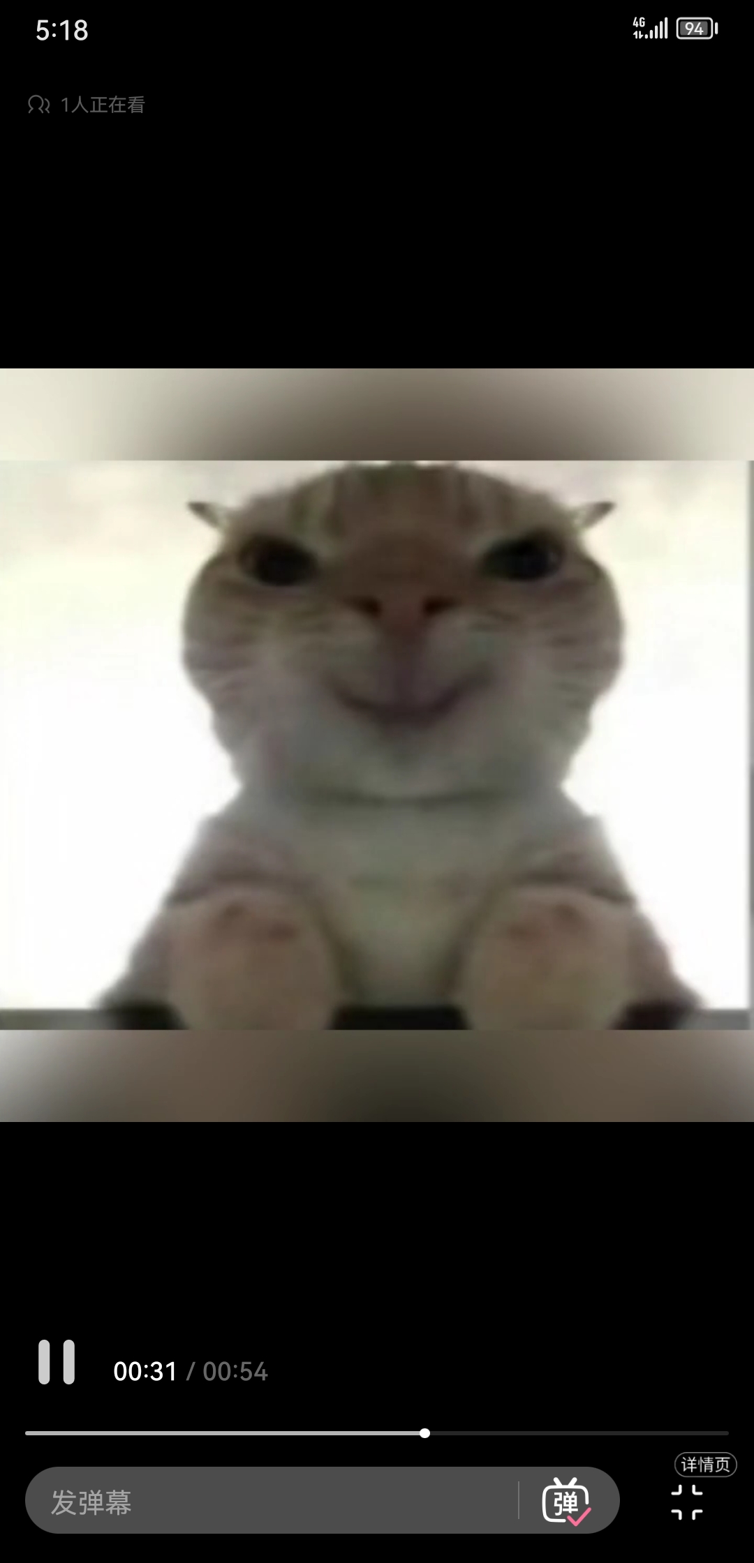 video original by Hailuo AI Video Generator