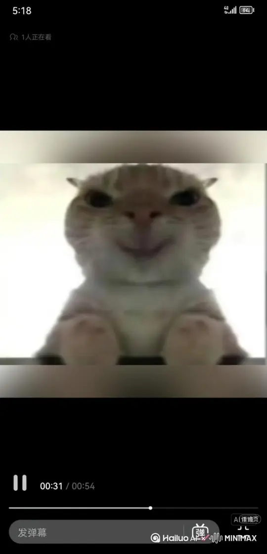 让猫猫唱歌 by Hailuo AI Video Generator