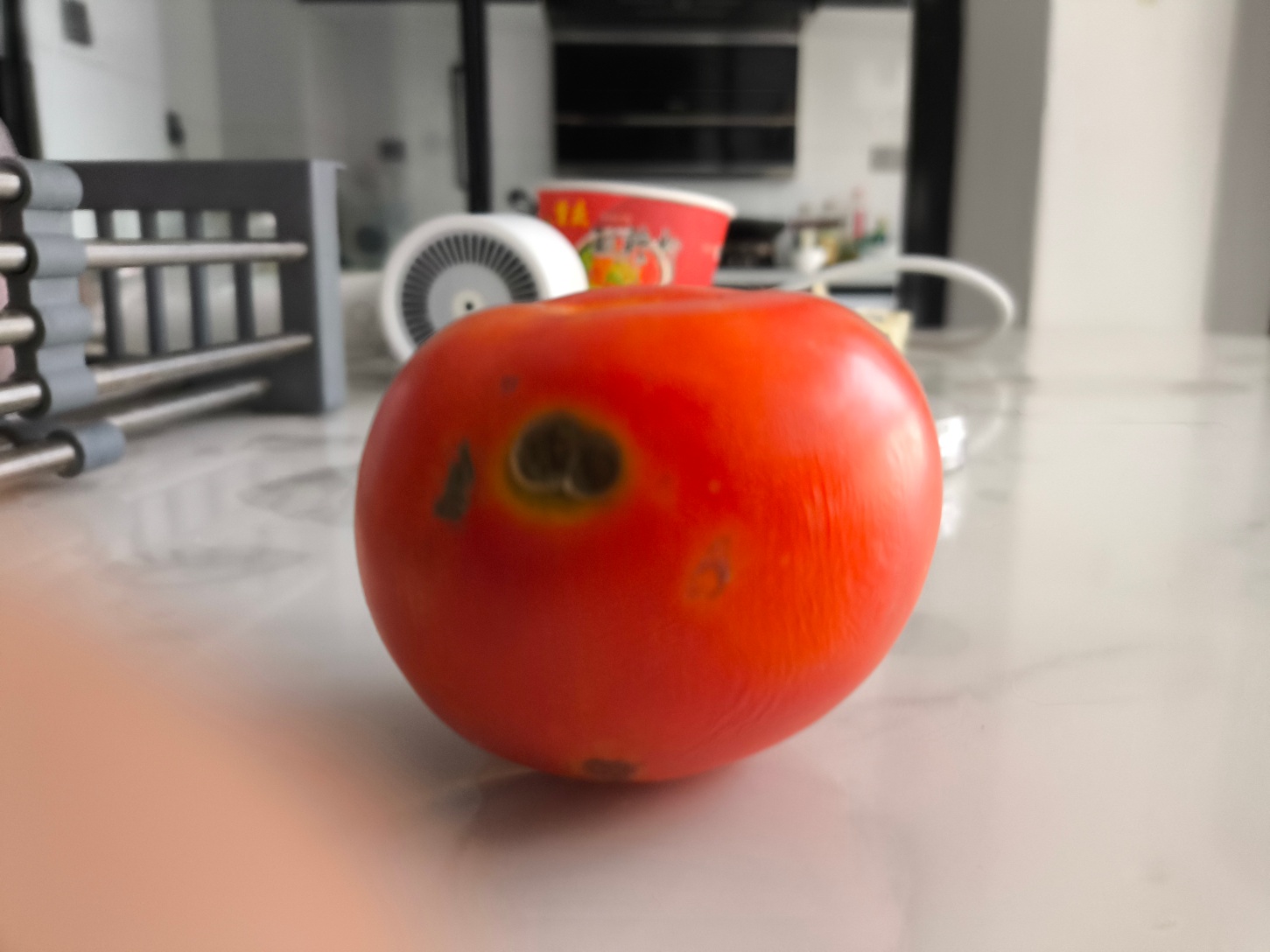 video original by Hailuo AI Video Generator