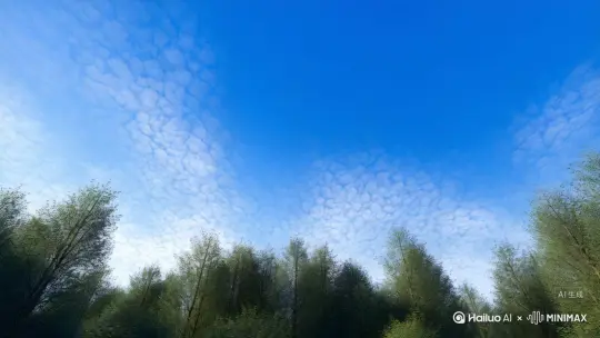 舒缓的音乐中，镜头从一片湛蓝的天空缓缓下移，掠过洁白如棉的云朵。接着，以平稳的速度滑向一片宁静的森林，穿梭在郁郁葱葱的树木间，光影斑驳。

来到森林深处，镜头贴近地面，聚焦在一丛绽放的野花上，花瓣上的露珠晶莹剔透。随后镜头上扬，展现森林中的一条清澈小溪，顺着水流方向移动，看着溪水潺潺流淌，水底的石头和游动的小鱼清晰可见。

镜头再缓缓拉远，从森林上方俯瞰，翠绿的森林与蜿蜒的溪流构成一幅绝美画卷，最终镜头渐渐模糊虚化 by Hailuo AI Video Generator