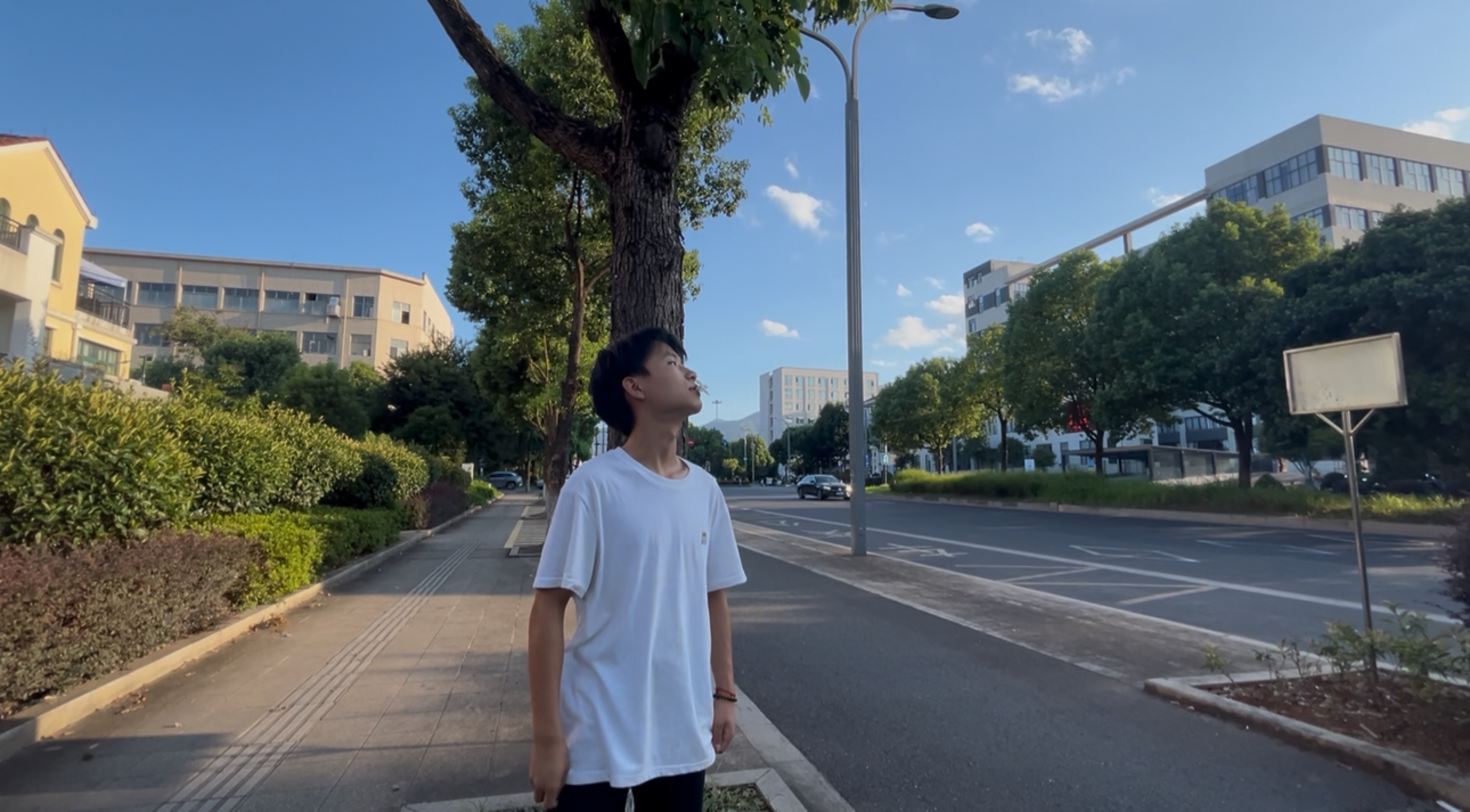 video original by Hailuo AI Video Generator
