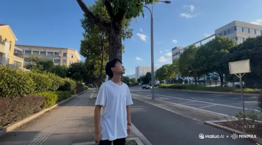 帮我生成一个视频：让图片中的场景动起来，人 物变成无数红色沙尘消失在视频中，向右吹走， （沙尘数量只在人物慢慢中涌出，然后消失）原 比例。模型高品质[右移,左摇,跟随] by Hailuo AI Video Generator
