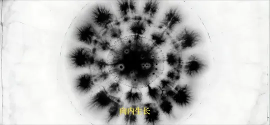 廖书涵 左安萍 文向荣  《向内生长》
第七届海南岛国际电影节·AI电影季「海螺AI·我的人生电影」特别单元——"人间故事家"作品 
以第一人称重构从母体子宫剥离后的精神流亡与回归，探索生命本源与自我意识进化。叙事在对"母亲"的追问中层层递进，追溯至家族根系中那个"被捆在树上的人"。 by Hailuo AI Video Generator
