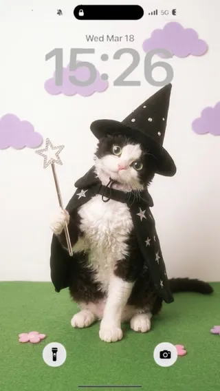 这里有几个标题供您选择：

1.  **AI定制宠物梦核写真：上传萌宠照片，解锁迷幻超现实风格** (38个字符)
2.  **上传宠物照，AI为您打造专属梦核风格写真** (34个字符)
3.  **宠物梦核艺术照：上传照片，AI智能生成专属超现实写真** (40个字符)
4.  **为爱宠定制梦核写真：上传照片，AI带你进入迷离梦幻世界** (41个字符)